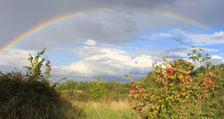 Rainbow over Folly Wood, Lidlington